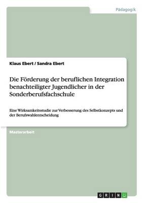 Die Forderung Der Beruflichen Integration Benachteiligter Jugendlicher in Der Sonderberufsfachschule (Paperback)