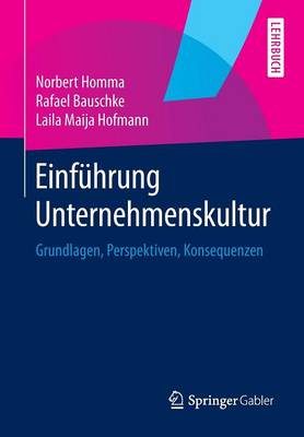 Einf hrung Unternehmenskultur: Grundlagen, Perspektiven, Konsequenzen (Paperback)