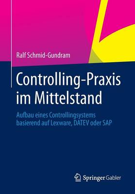 Controlling-Praxis Im Mittelstand: Aufbau Eines Controllingsystems Basierend Auf Lexware, Datev Oder SAP (Paperback)
