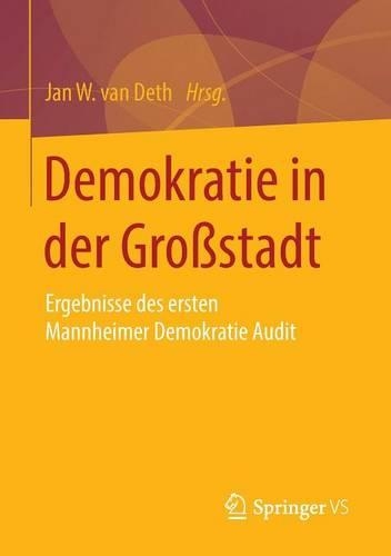 Demokratie in Der Grossstadt: Ergebnisse Des Ersten Mannheimer Demokratie Audit (Paperback)