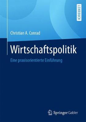 Wirtschaftspolitik: Eine Praxisorientierte Einfuhrung (Paperback)