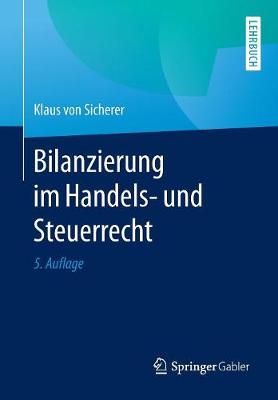 Bilanzierung Im Handels- Und Steuerrecht (Paperback)