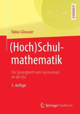 (hoch)Schulmathematik: Ein Sprungbrett Vom Gymnasium an Die Uni (Paperback)