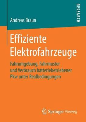 Effiziente Elektrofahrzeuge: Fahrumgebung, Fahrmuster Und Verbrauch Batteriebetriebener Pkw Unter Realbedingungen (Paperback)