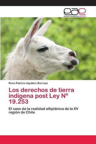 Los Derechos de Tierra Indigena Post Ley N 19.253 (Paperback)