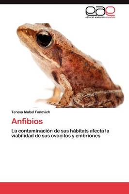 Anfibios (Paperback)