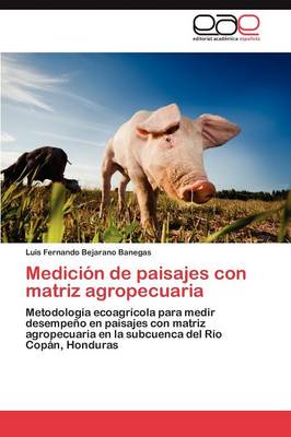 Medicion de Paisajes Con Matriz Agropecuaria (Paperback)