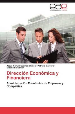 Direccion Economica y Financiera (Paperback)