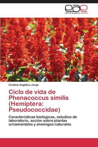 Ciclo de Vida de Phenacoccus Similis (Hemiptera: Pseudococcidae) (Paperback)