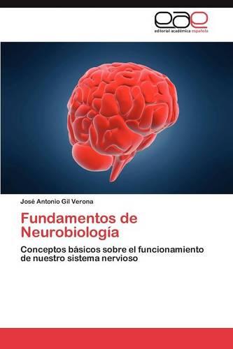 Fundamentos de Neurobiologia (Paperback)