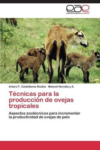 Tecnicas Para La Produccion de Ovejas Tropicales (Paperback)