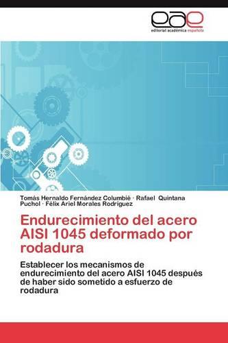 Endurecimiento del Acero Aisi 1045 Deformado Por Rodadura (Paperback)