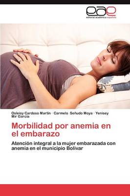 Morbilidad Por Anemia En El Embarazo (Paperback)