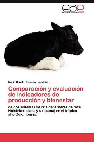 Comparacion y Evaluacion de Indicadores de Produccion y Bienestar (Paperback)