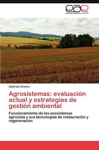 Agrosistemas: Evaluacion Actual y Estrategias de Gestion Ambiental (Paperback)