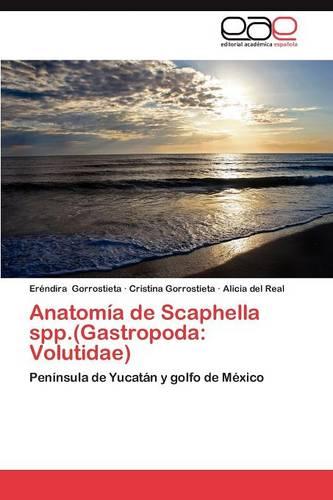 Anatomia de Scaphella Spp.(Gastropoda: Volutidae) (Paperback)