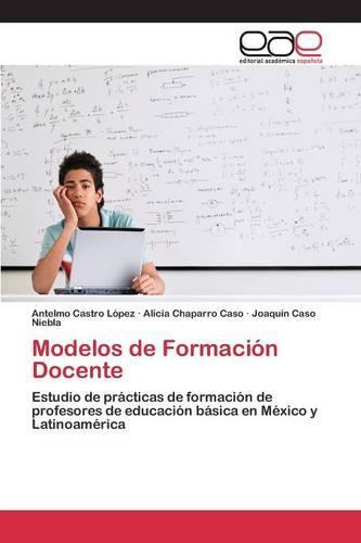 Modelos de Formacion Docente (Paperback)