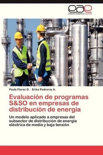 Evaluacion de Programas S&so En Empresas de Distribucion de Energia (Paperback)