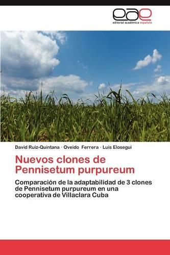 Nuevos Clones de Pennisetum Purpureum (Paperback)