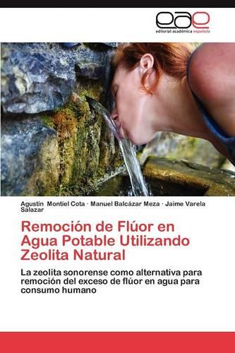 Remocion de Fluor En Agua Potable Utilizando Zeolita Natural (Paperback)