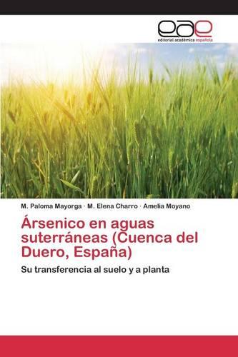 Arsenico En Aguas Suterraneas (Cuenca del Duero, Espana) (Paperback)