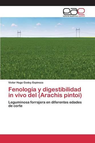 Fenologia y Digestibilidad in Vivo del (Arachis Pintoi) (Paperback)