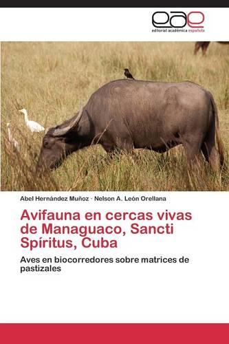 Avifauna En Cercas Vivas de Managuaco, Sancti Spiritus, Cuba (Paperback)
