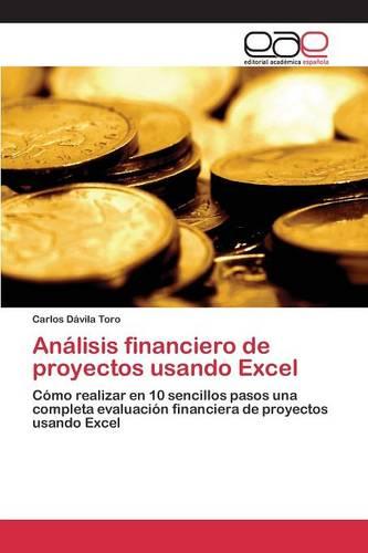 Analisis Financiero de Proyectos Usando Excel (Paperback)