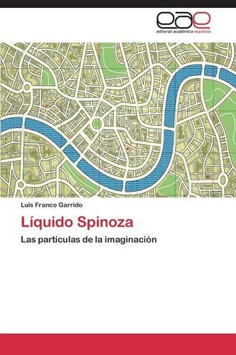 Liquido Spinoza (Paperback)