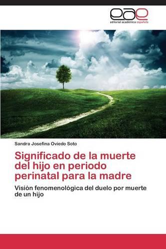 Significado de La Muerte del Hijo En Periodo Perinatal Para La Madre (Paperback)