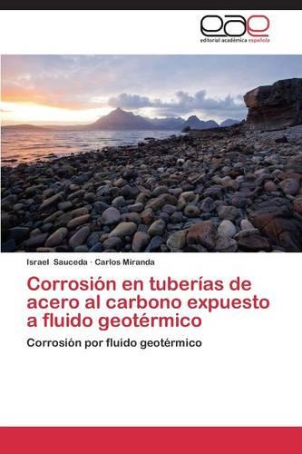 Corrosion En Tuberias de Acero Al Carbono Expuesto a Fluido Geotermico (Paperback)