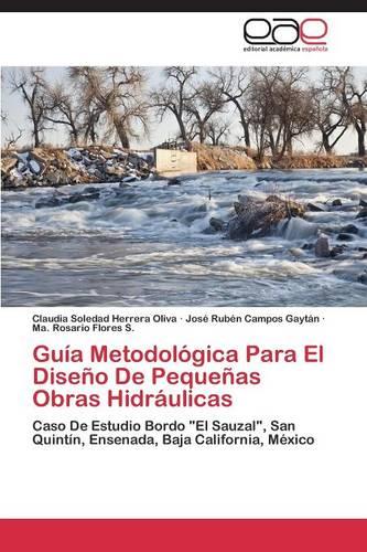 Guia Metodologica Para El Diseno de Pequenas Obras Hidraulicas (Paperback)