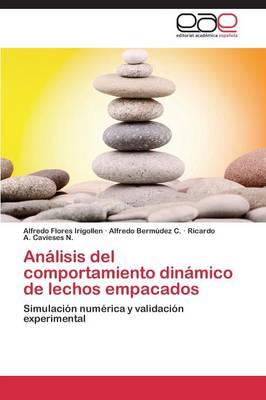 Analisis del Comportamiento Dinamico de Lechos Empacados (Paperback)