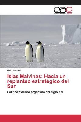 Islas Malvinas: Hacia Un Replanteo Estrategico del Sur (Paperback)