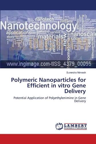 Polymeric Nanoparticles for Efficient in Vitro Gene Delivery (Paperback)
