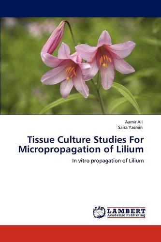 Tissue Culture Studies for Micropropagation of Lilium (Paperback)