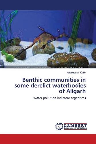 Benthic Communities in Some Derelict Waterbodies of Aligarh (Paperback)