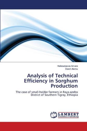 Analysis of Technical Efficiency in Sorghum Production (Paperback)