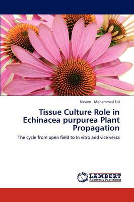 Tissue Culture Role in Echinacea Purpurea Plant Propagation (Paperback)