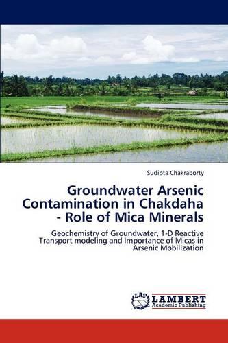 Groundwater Arsenic Contamination in Chakdaha - Role of Mica Minerals (Paperback)
