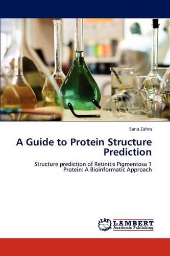 A Guide to Protein Structure Prediction (Paperback)