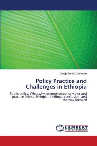 Policy Practice and Challenges in Ethiopia (Paperback)