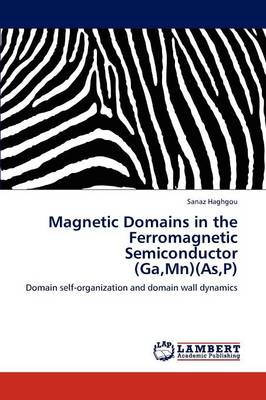 Magnetic Domains in the Ferromagnetic Semiconductor (Ga, MN)(As, P) (Paperback)