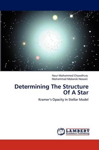 Determining the Structure of a Star (Paperback)