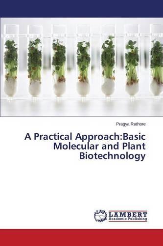 A Practical Approach: Basic Molecular and Plant Biotechnology (Paperback)