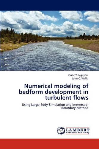 Numerical Modeling of Bedform Development in Turbulent Flows (Paperback)