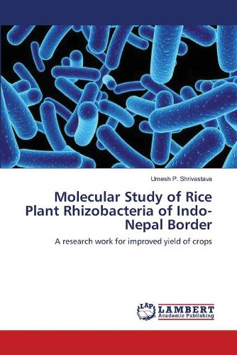 Molecular Study of Rice Plant Rhizobacteria of Indo-Nepal Border (Paperback)