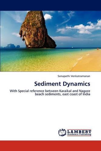 Sediment Dynamics (Paperback)