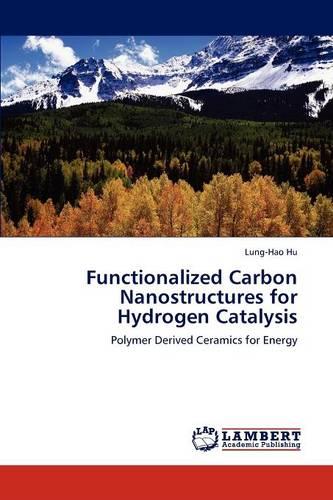 Functionalized Carbon Nanostructures for Hydrogen Catalysis (Paperback)