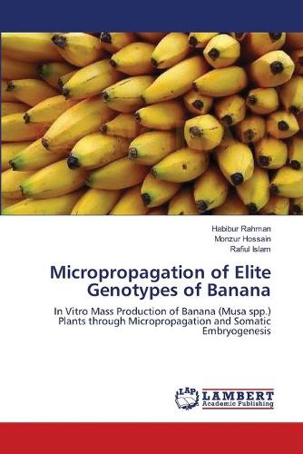 Micropropagation of Elite Genotypes of Banana (Paperback)